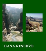 Dana Reserve